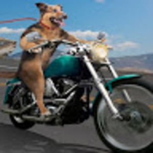 Meet your Posher, Evyn